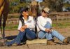 Connection between horse and human
