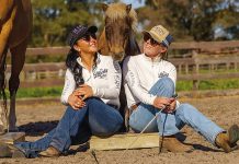 Connection between horse and human