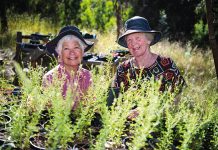 Grants to help care for the places we love