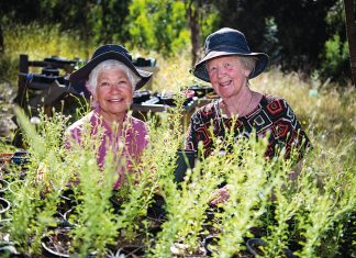 Grants to help care for the places we love