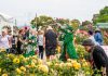 Morwell to bloom this November as Rose Garden Festival returns