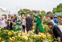 Morwell to bloom this November as Rose Garden Festival returns
