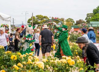 Morwell to bloom this November as Rose Garden Festival returns