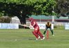Cricket finally hits off