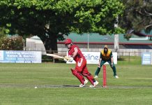 Cricket finally hits off