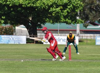 Cricket finally hits off
