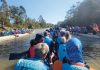 Dragon boat clubs band together