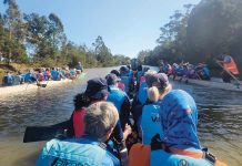 Dragon boat clubs band together