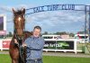 The best at Sale honoured