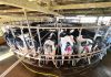 Slowing milk supply and growing protein demand