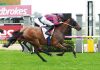Dramatic Sale Cup day